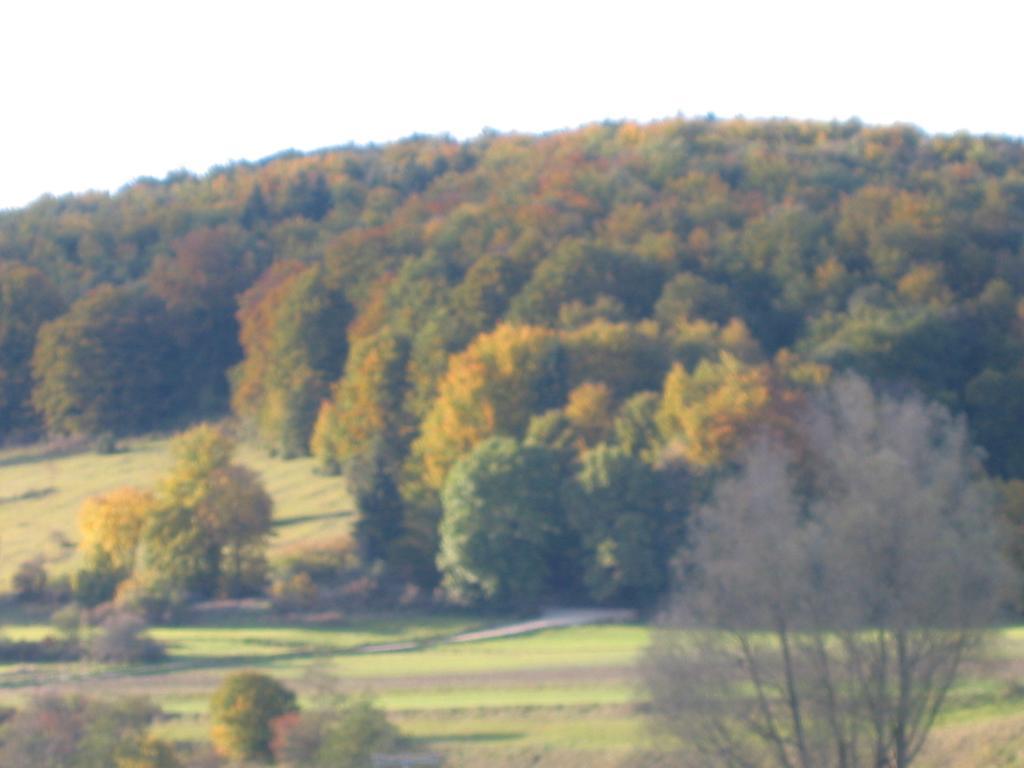 Zum Lamm Hotel